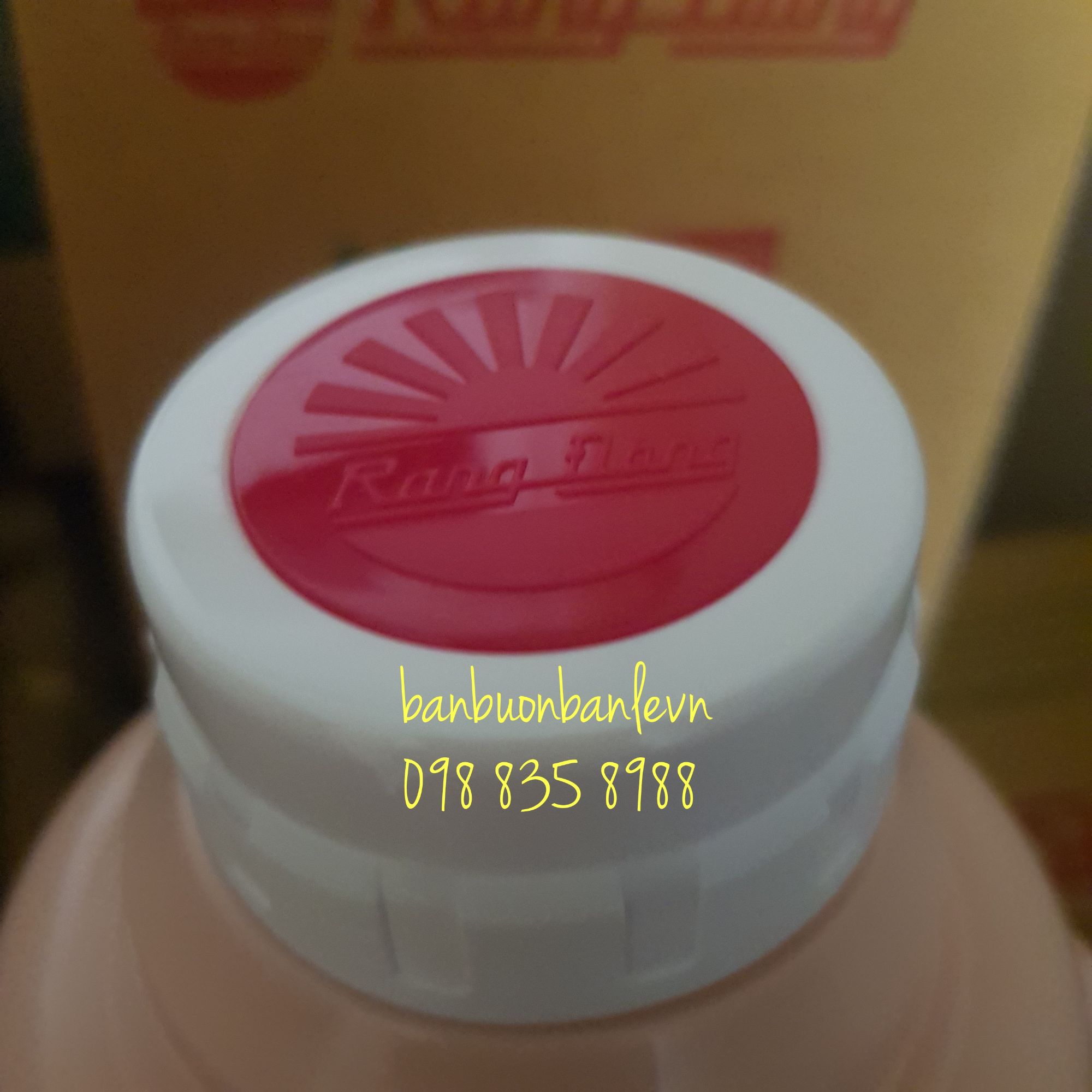 Phích đựng nước nút xoáy  Rạng đông 2035 N6.X
