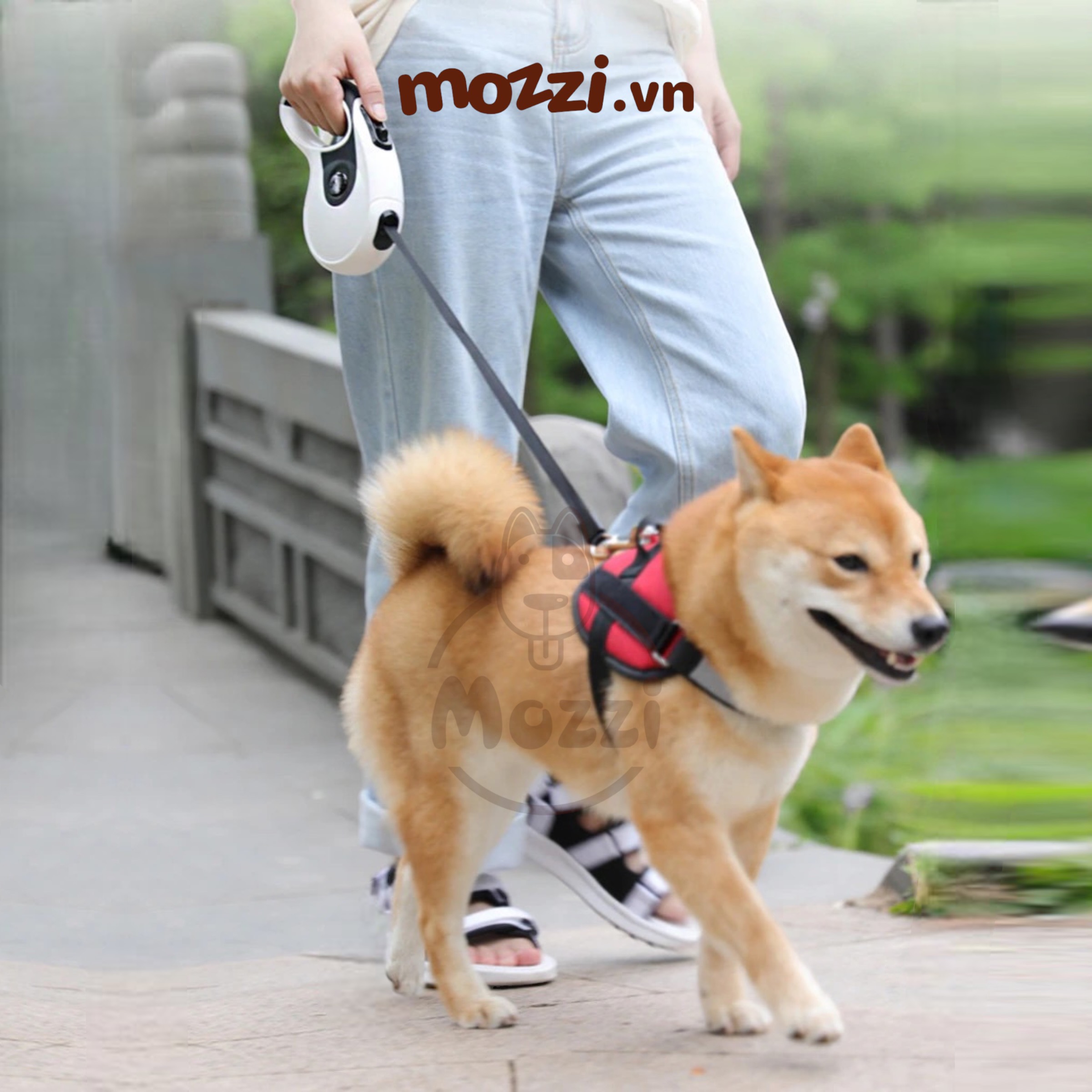 Dây dắt kéo tự động Diil 3m 5m cho chó mèo