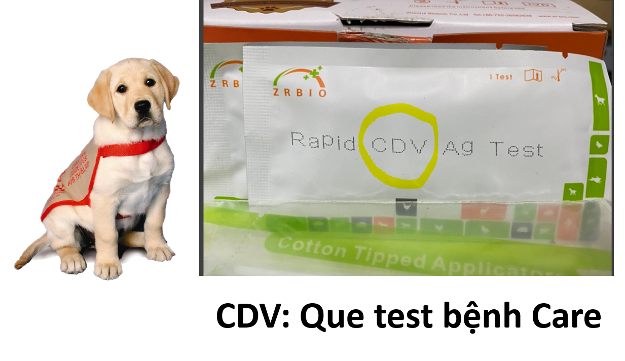Test bệnh thú cưng que thử bệnh chó mèo Parvo Care FPV