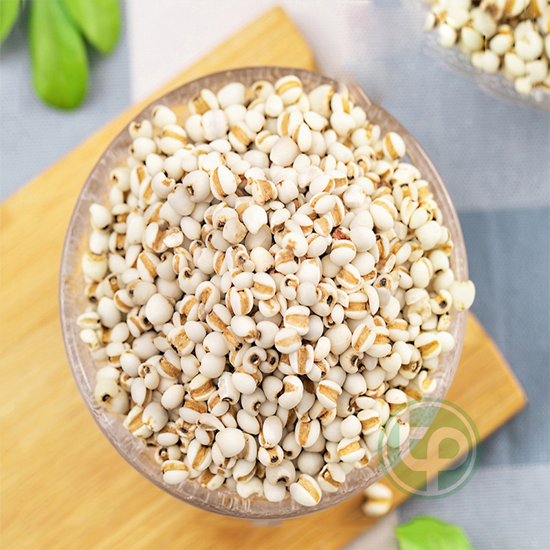 Hạt ý dĩ khô 500g - Dược Tấn Phát