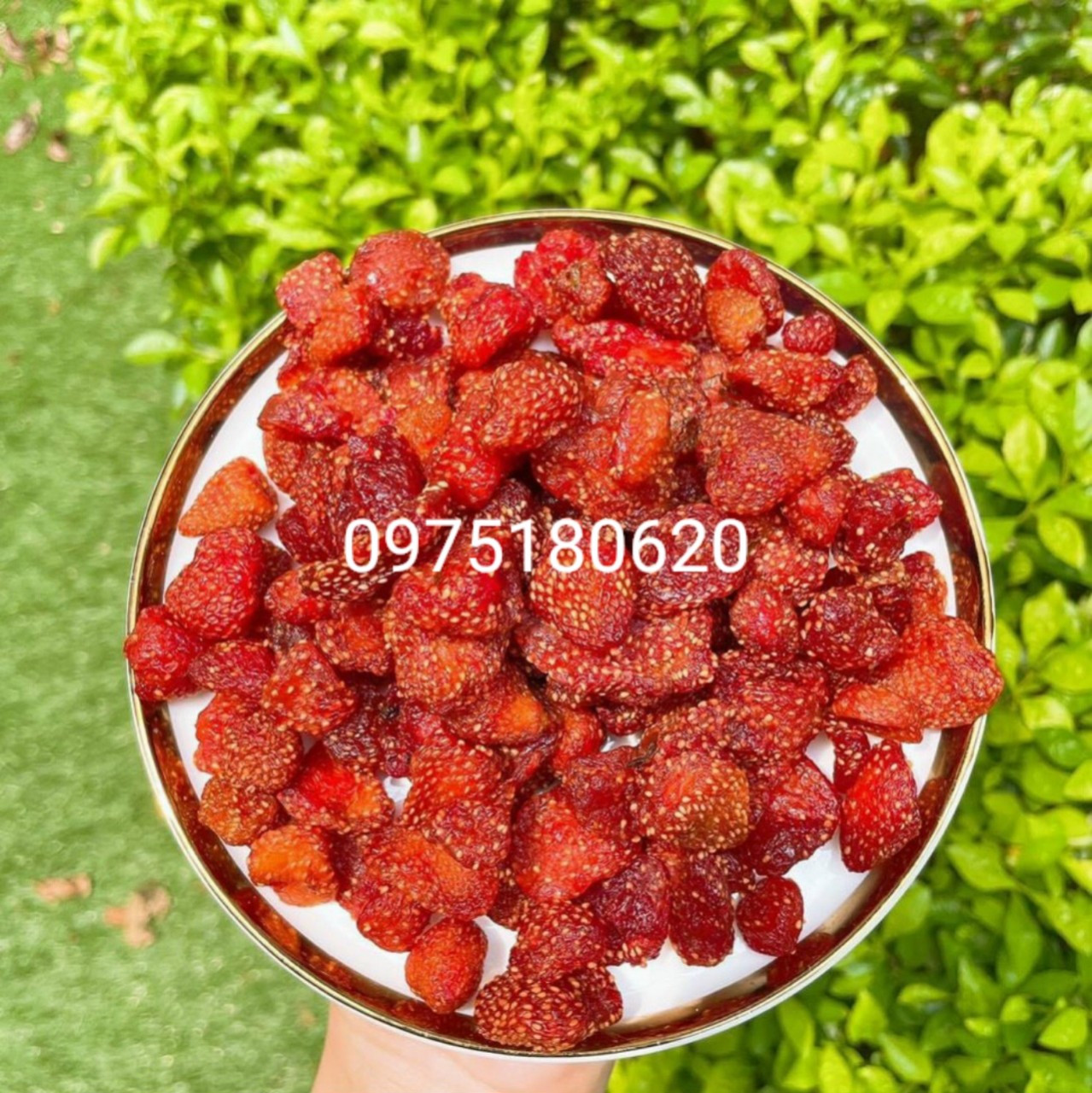 ]dâu tây sấy dẻo 500g