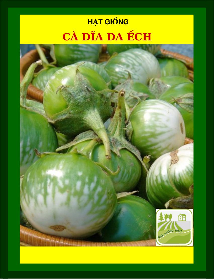 Hạt Giống Cà Dĩa Da Ếch - 1Gram