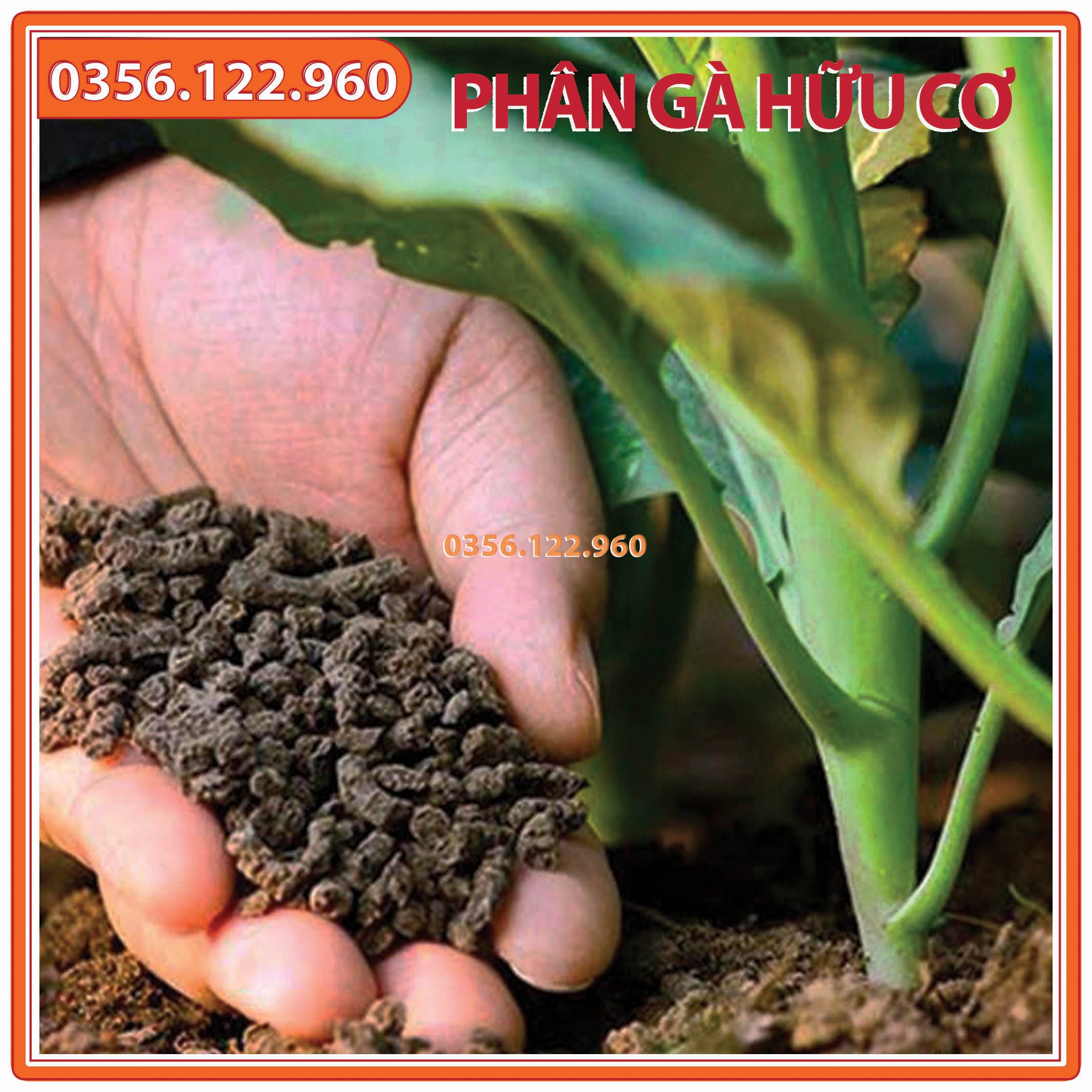 Phân gà hữu cơ nhật bản gói 1kg