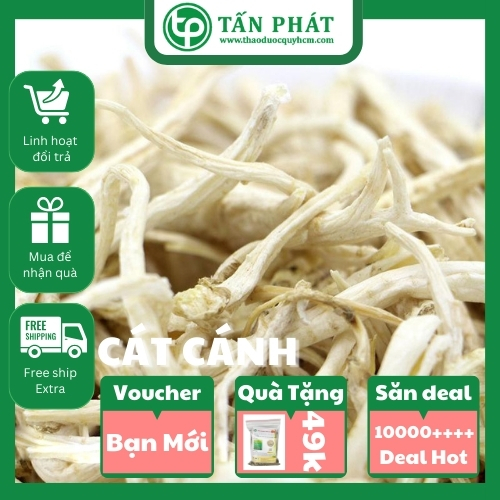 Dried Winged Sand in Small Bags of 100 Grams - Specialized for Making Tea to Help Reduce Coughs and Eliminate Phlegm - Tan Phat Herbal Medicine