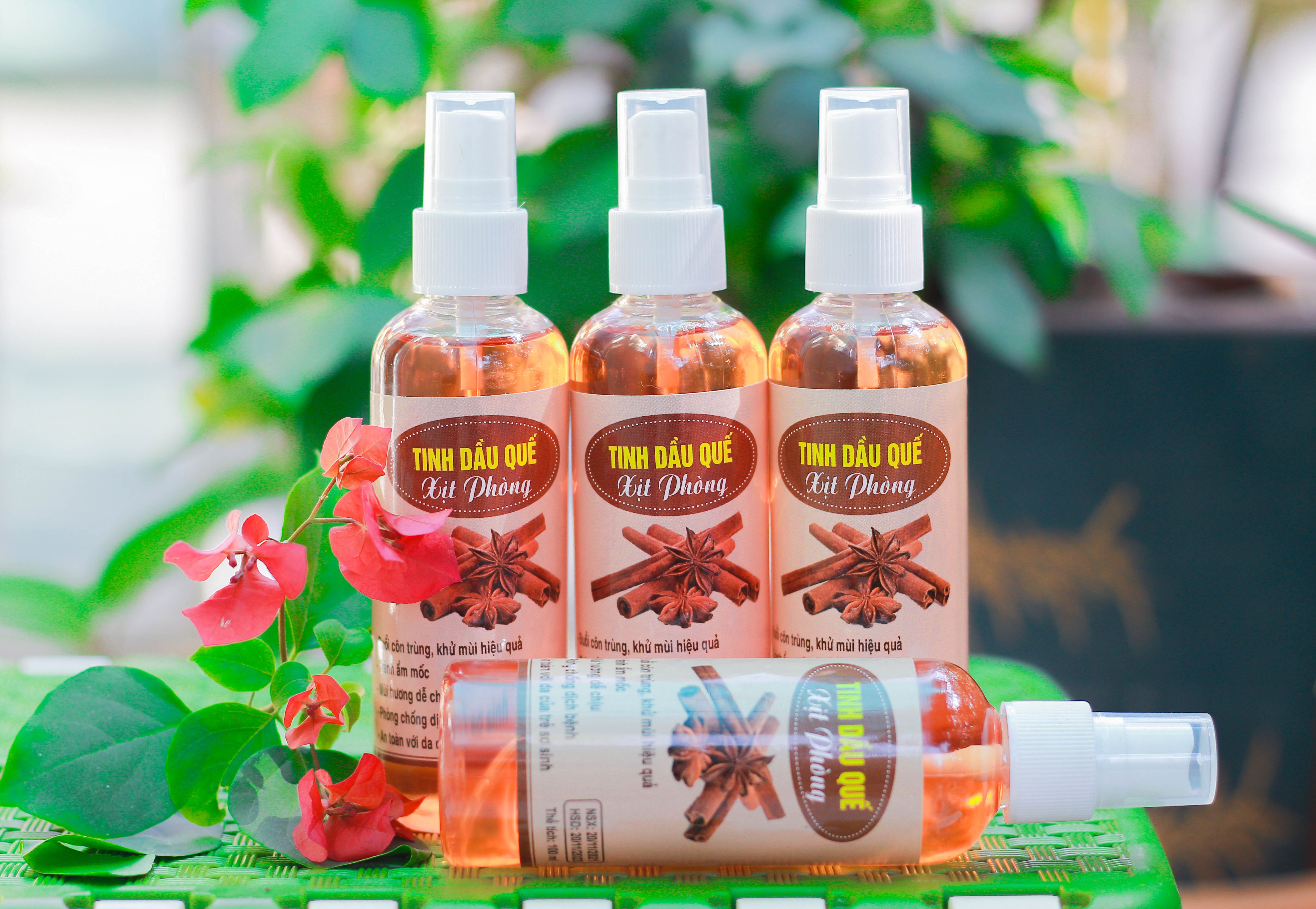 Tinh dầu Quế Cao Cấp, Nguyên chất 100%