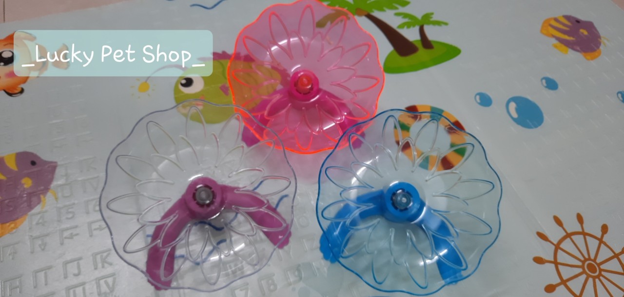 Đĩa bay parabol Carno loại lớn cho hamster