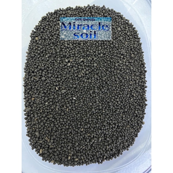 Phân nền cao cấp Miracle Soil - đất nền thuỷ sinh đến từ nhật bản