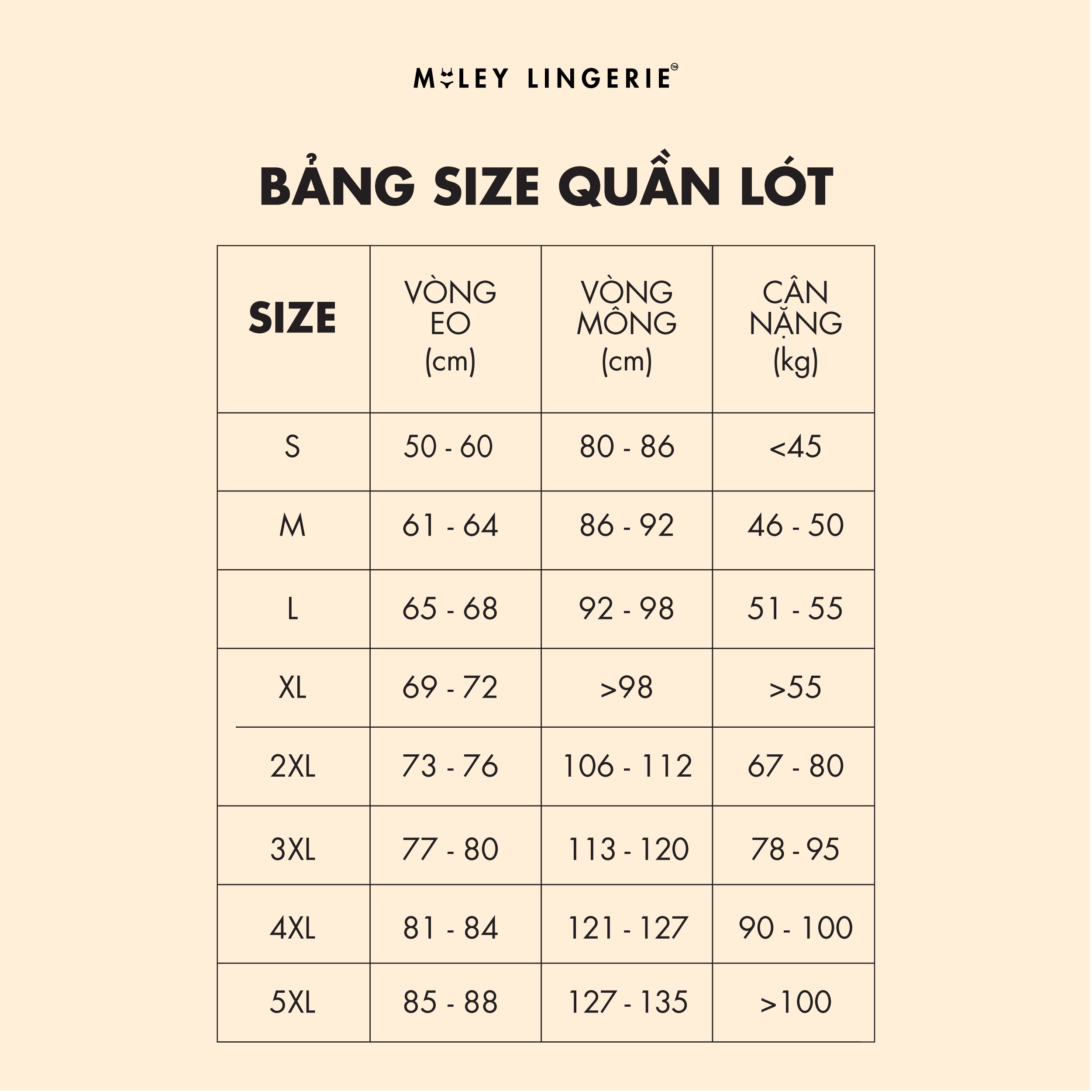 Combo 5 Quần Melange Active Kháng Khuẩn Miley Lingerie