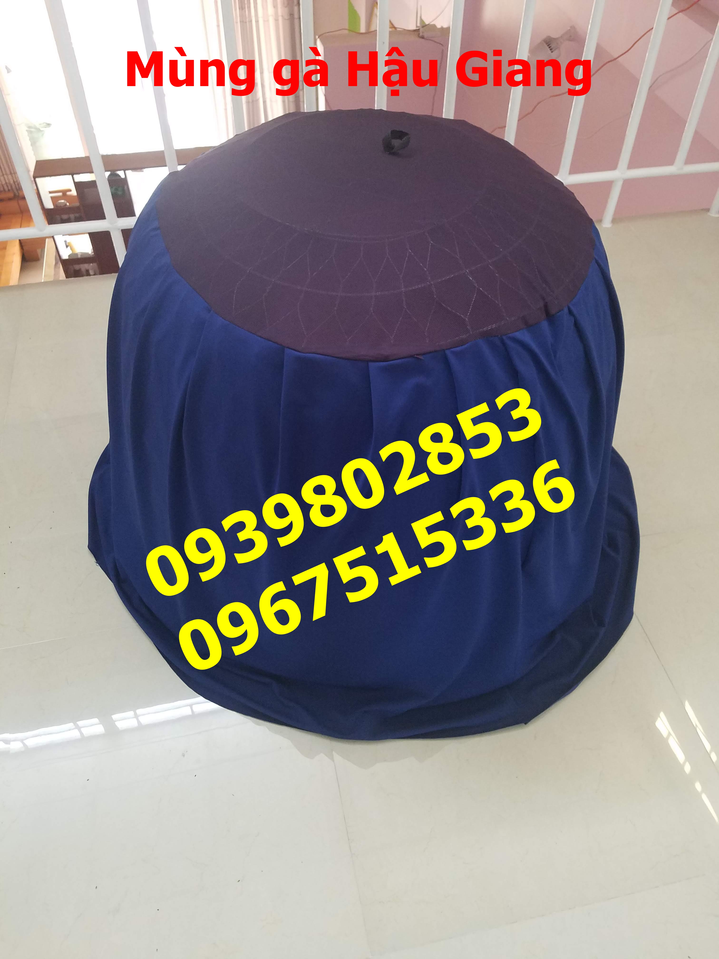 10 mùng gà nòi 1.2m to