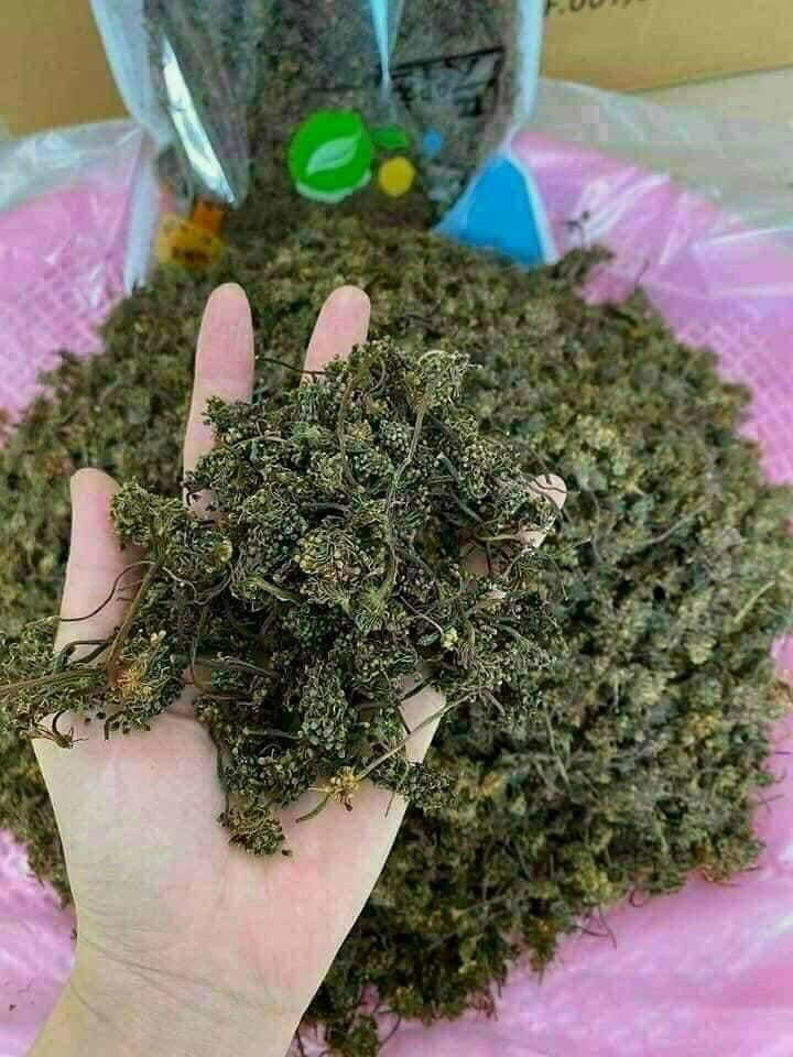 Trà hoa sâm Hàn Quốc, túi 500gr