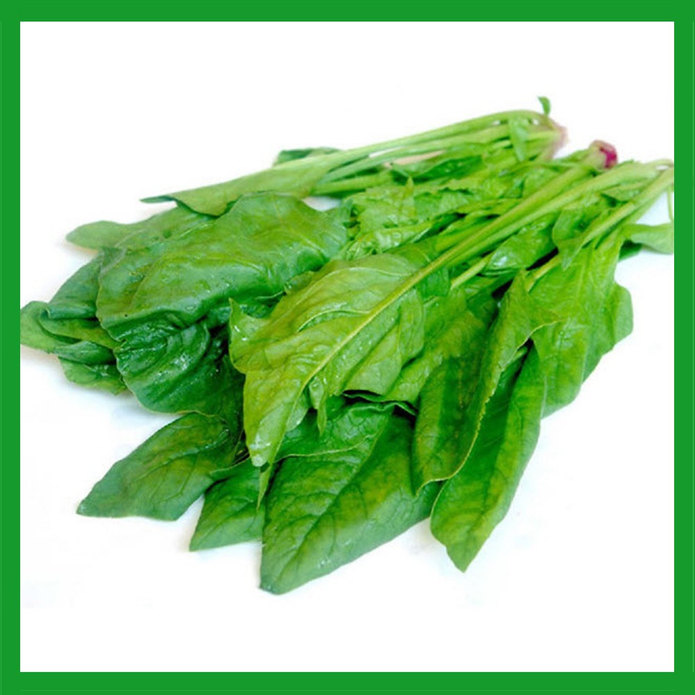 [HCM]Hạt giống cải bó xôi