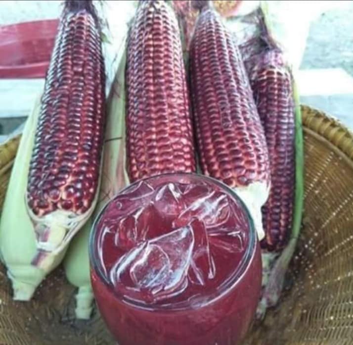 Hạt giống Ngô nếp tím (Gói 20 hạt)