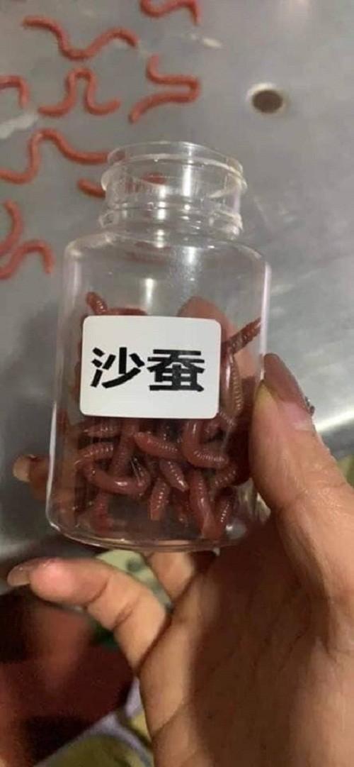 Mồi giun giả câu cá
