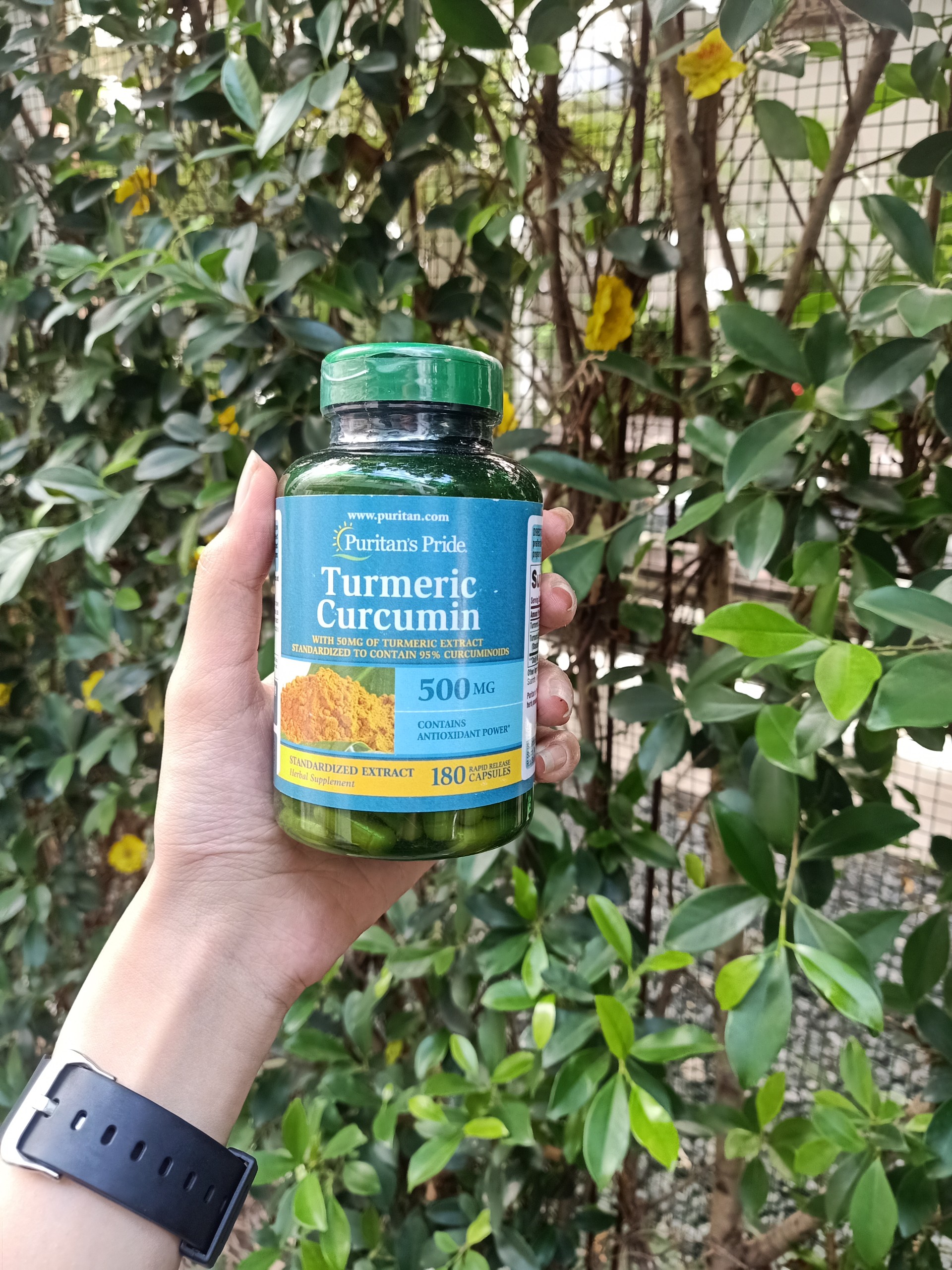Tinh dầu nghệ Puritan’s Pride Turmeric Curcumin 500mg