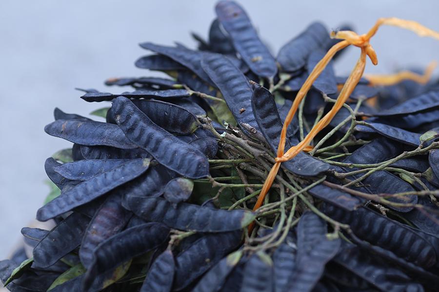 Trái Bồ kết Khô- 500gr