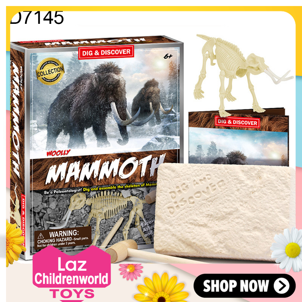 Childworld Kids Boys DIY Assembly Dinosaur Skeleton Puzzle Toy Kit Archaeological Toy