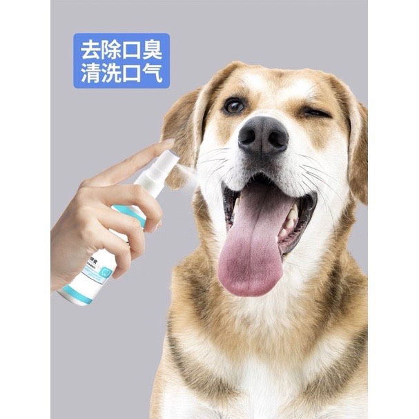 🦷 Xịt Khử Mùi răng miệng cho Chó Mèo -70 Present 120ml 🦷