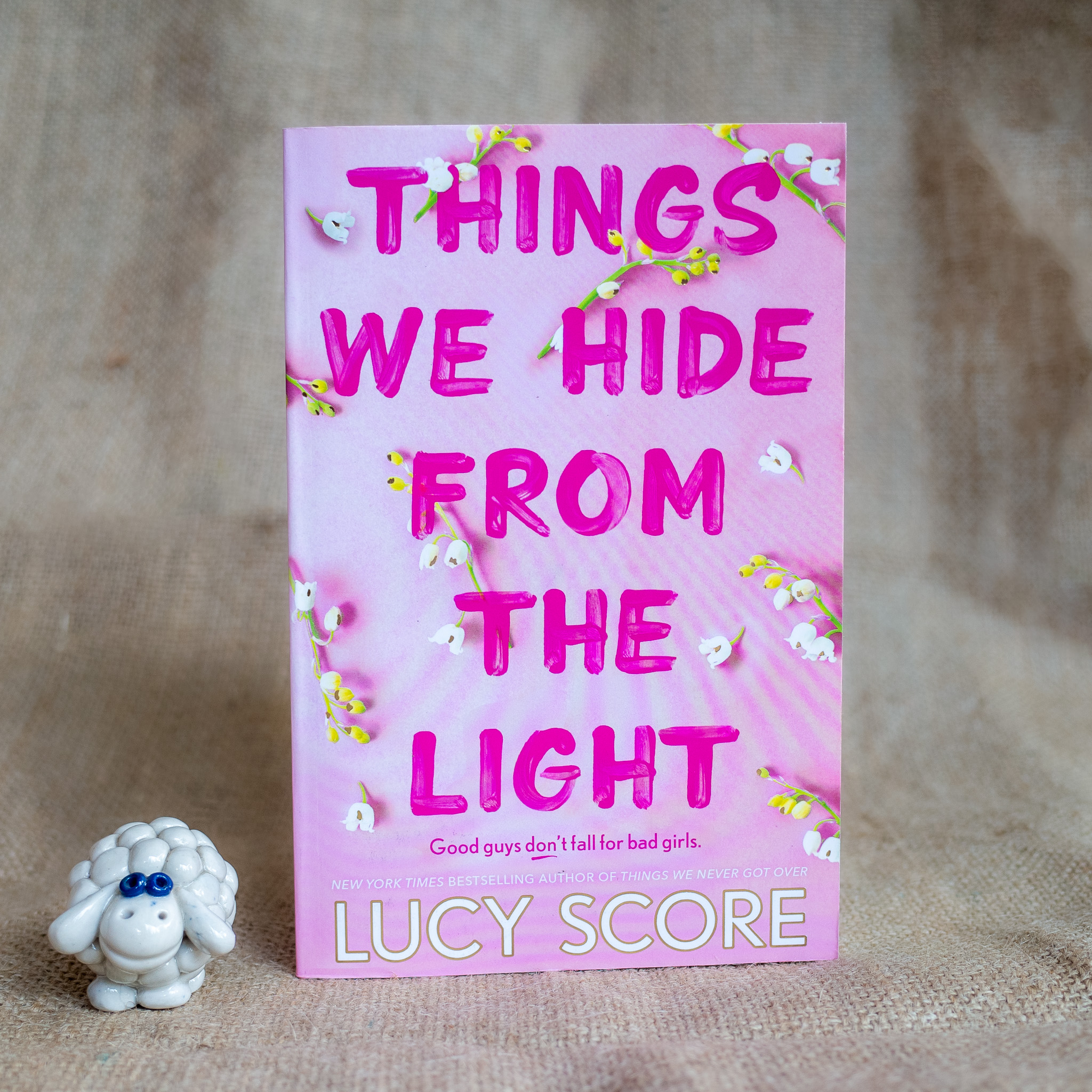 Things We Hide From The Light - Lucy Score