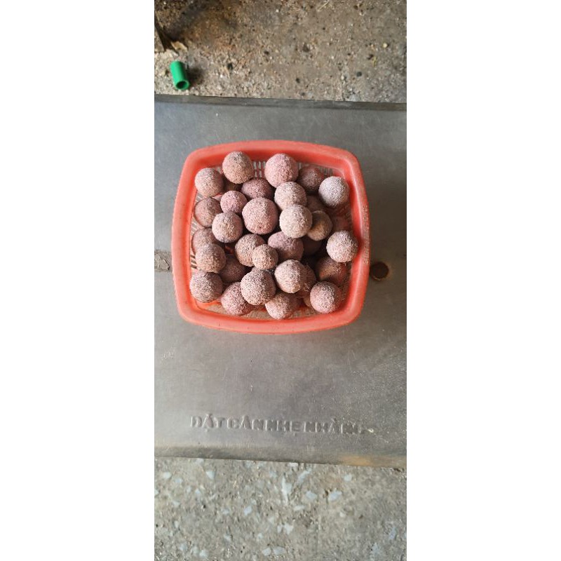 Combo 10kg hạt aluwat sứ nung đá vôi