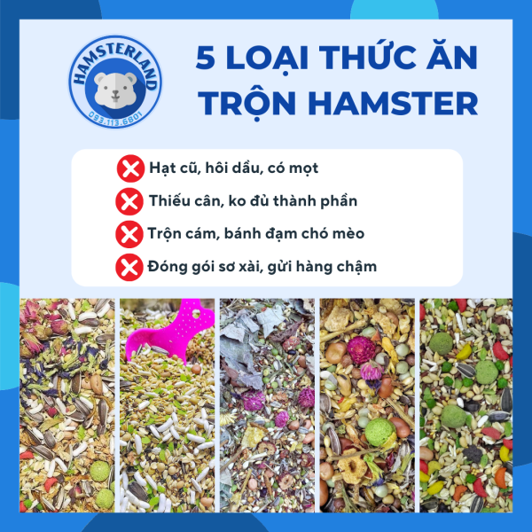 Thức Ăn Cho Chuột Hamster - 5 Loại Trộn Dinh Dưỡng Căn Bản - Cao Cấp - Siêu Vip - Dành Riêng Cho Từng Loài Hamsters