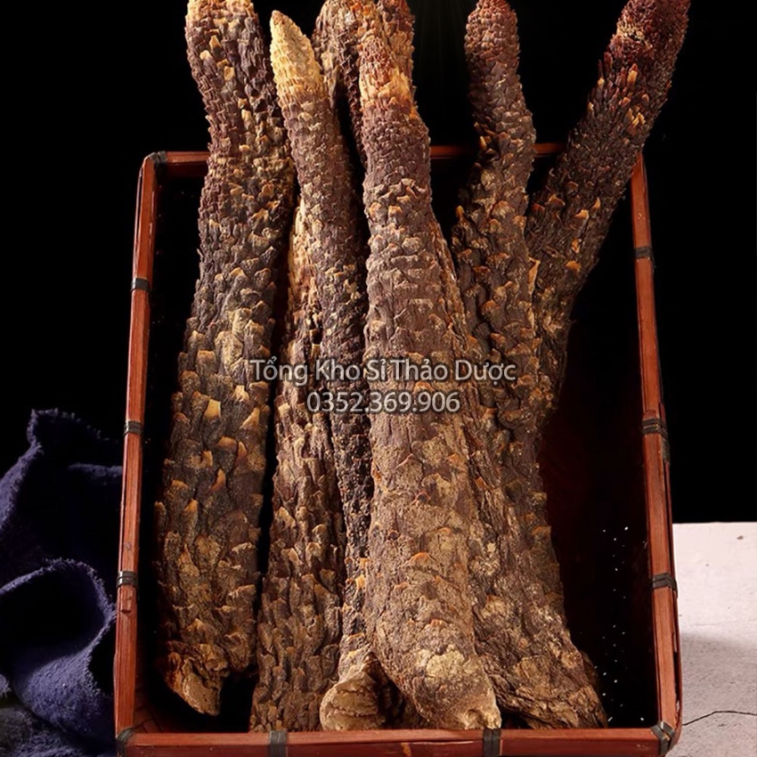 Nhục Thung Dung 100g (Hàng Loại 1, To, Thơm)