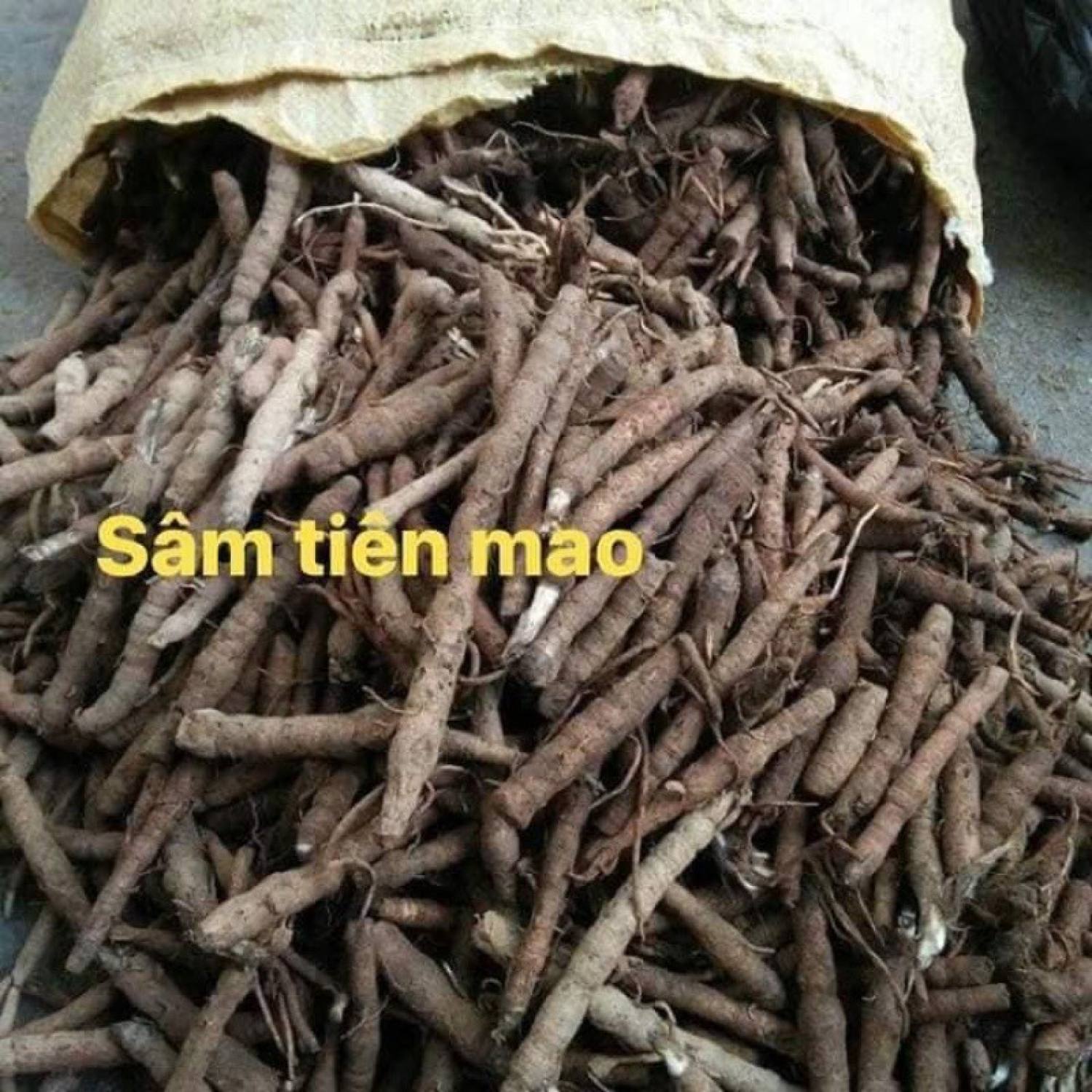 1kg Tiên mao tươi
