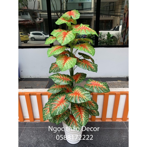 Cây trầu bà đỏ giả 1m2 - cây giả trang trí