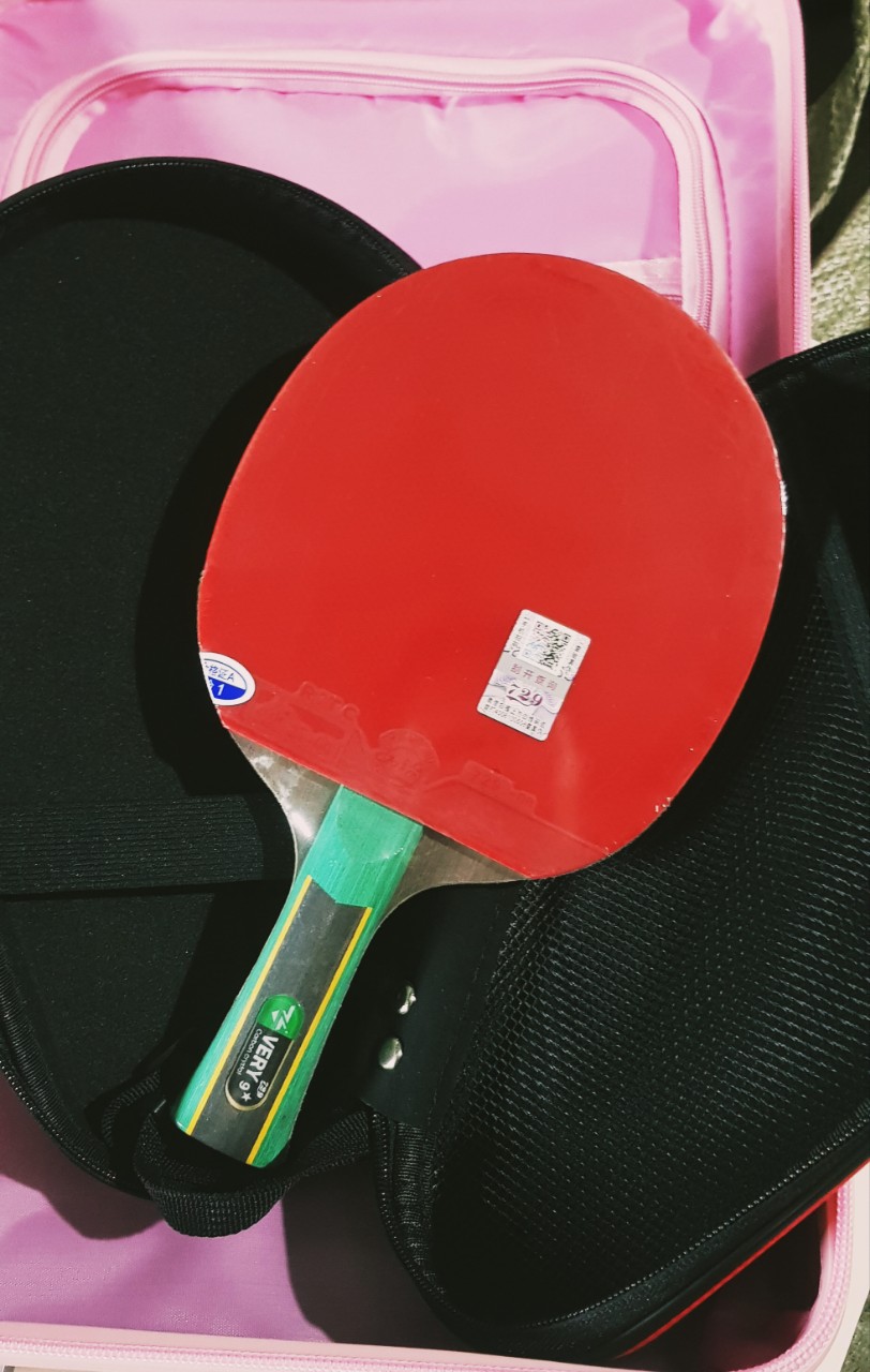 Vợt bóng bàn 729-VERY 9 Sao cao cấp