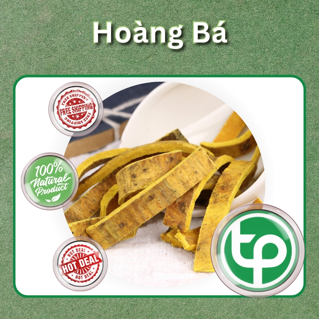 [Hàng công ty] Hoàng bá sấy khô 500g -  Tấn Phát - Chuyên dùng để pha trà và sắc nước uống