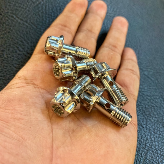 Ốc Heo Dầu Salaya Inox 304