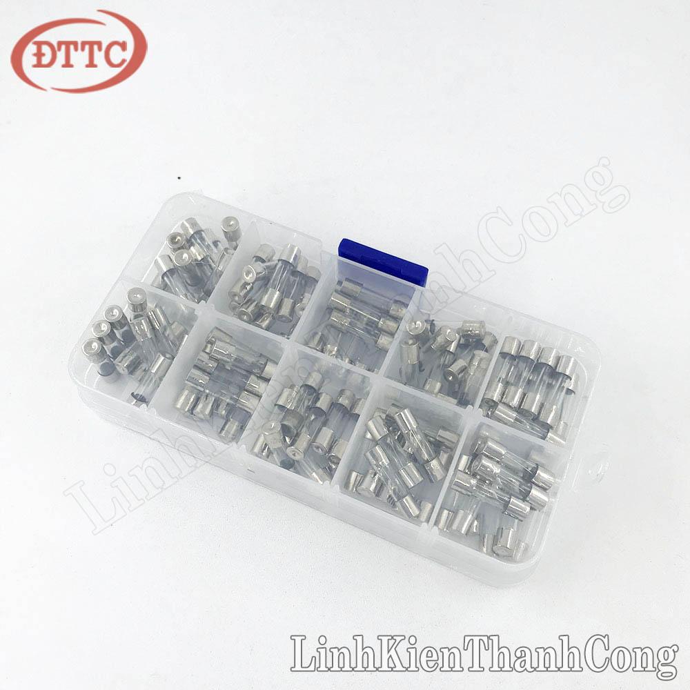 Combo 10 Loại Cầu Chì 5x20mm (100 Cái)