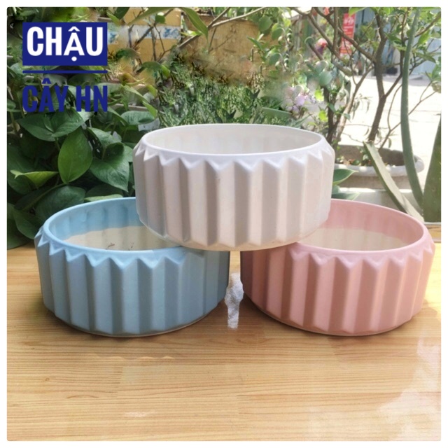 Ceramic staff plant bed table Bowl low interior shape bifurcylated cactus