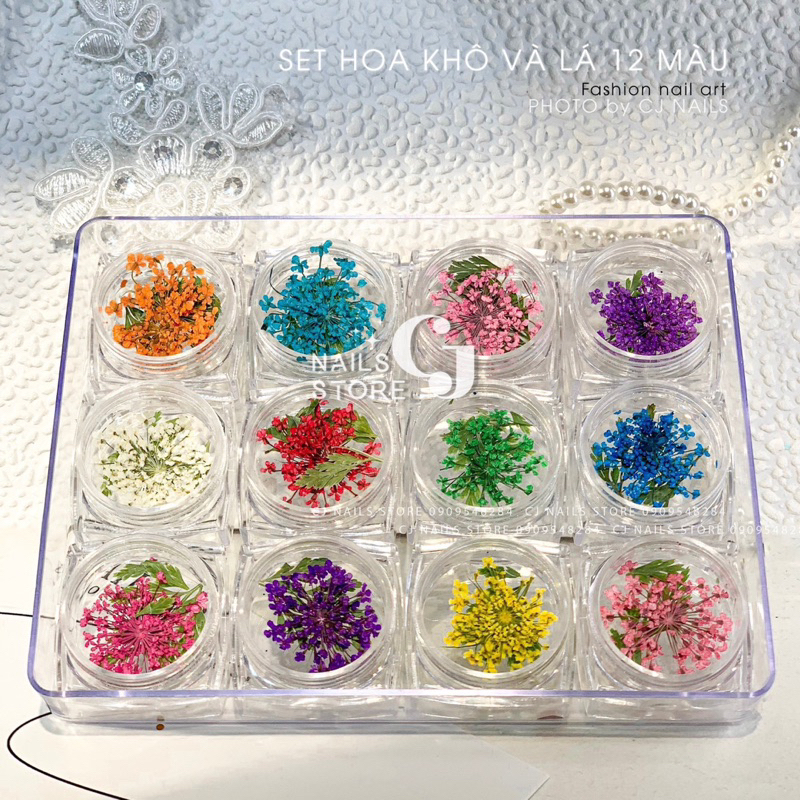 {CJ Nails Store} Set hoa lá khô trang trí móng 12 ô size lớn