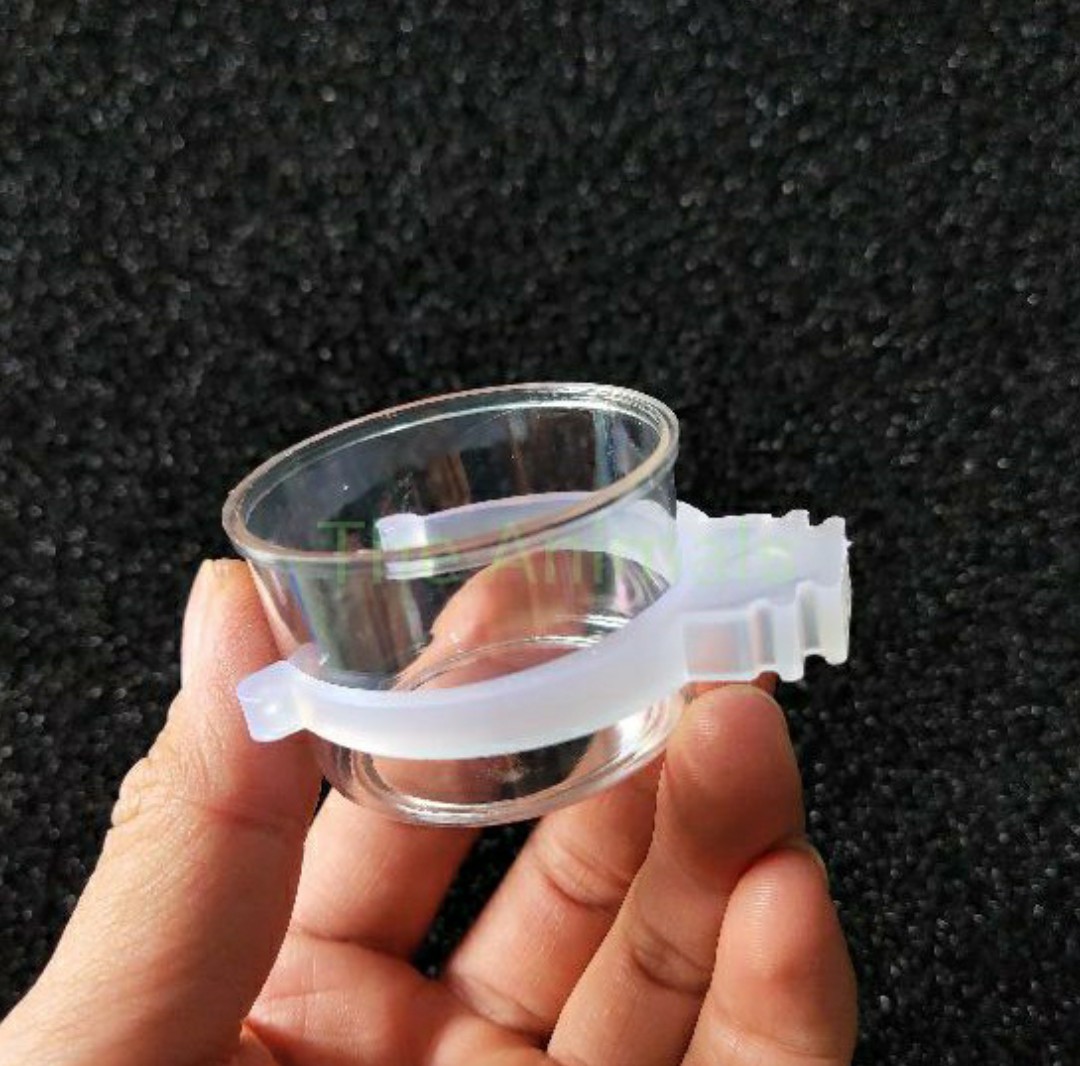 Combo 5 cóng ăn uống cho các loại chim