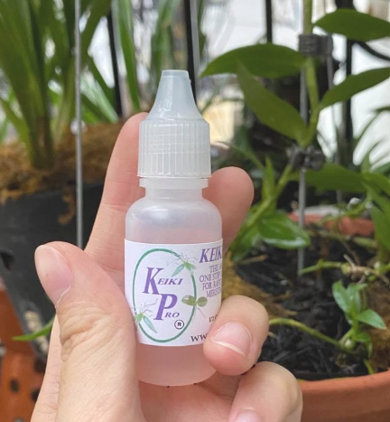 Kích mầm chồi Keiki Pro USA (Mỹ) - 15ml