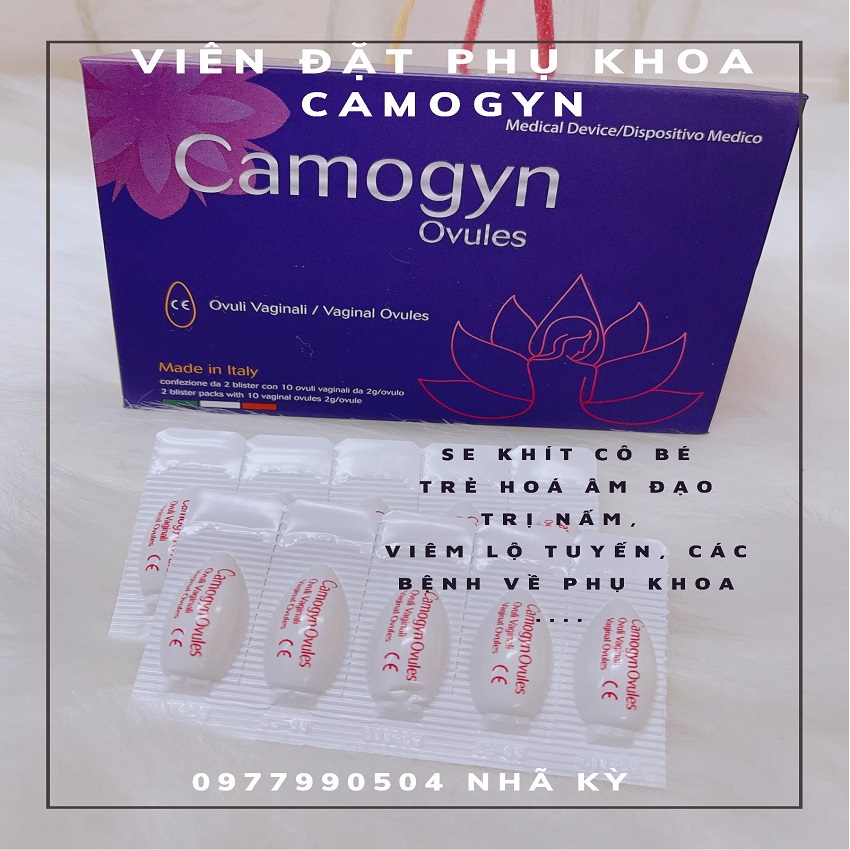 Viên đặt phụ khoa Camogyn hộp 10 viên