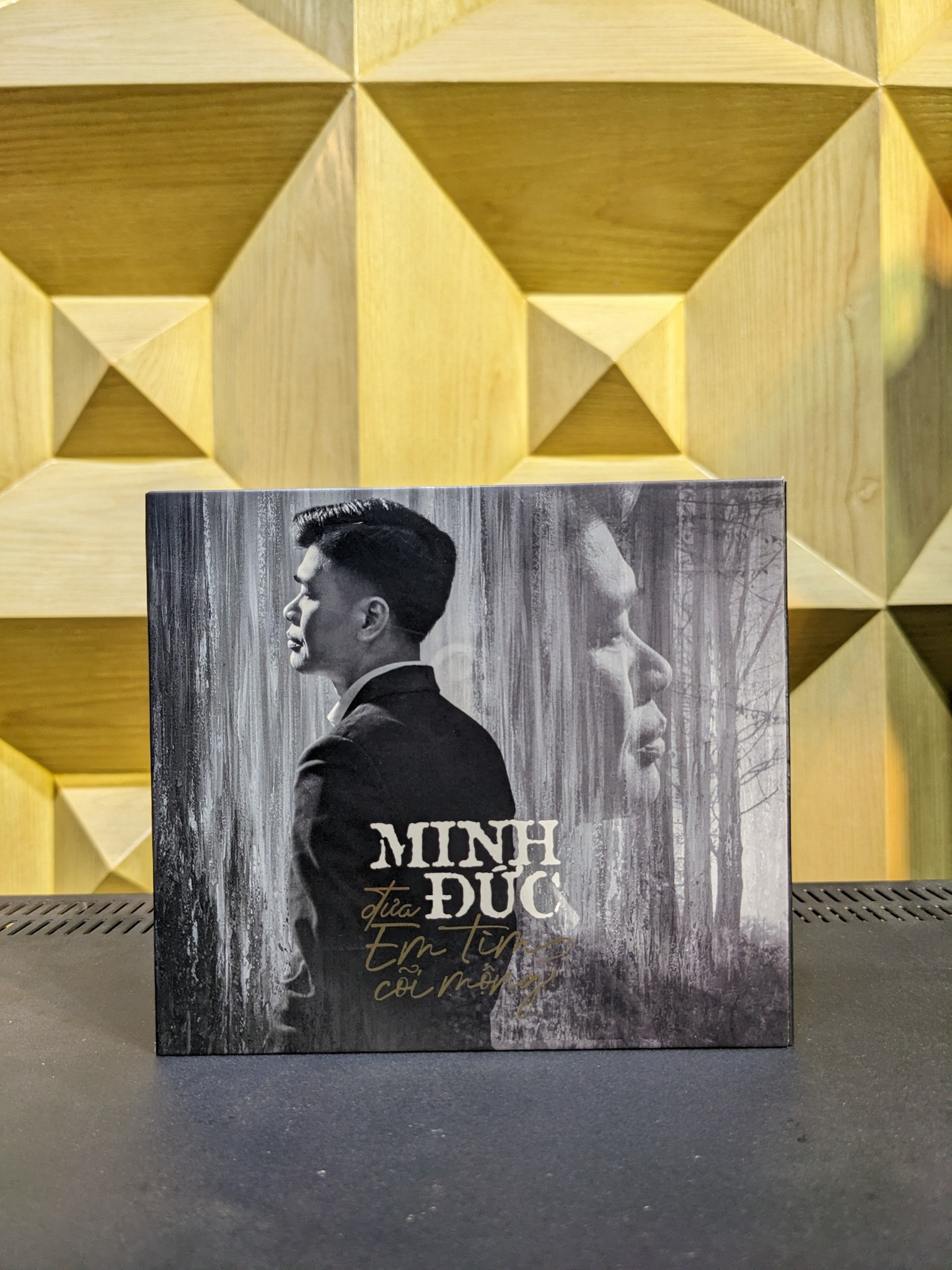 Minh Đức - Vol.2 - Đưa Em Vào Cõi Mộng