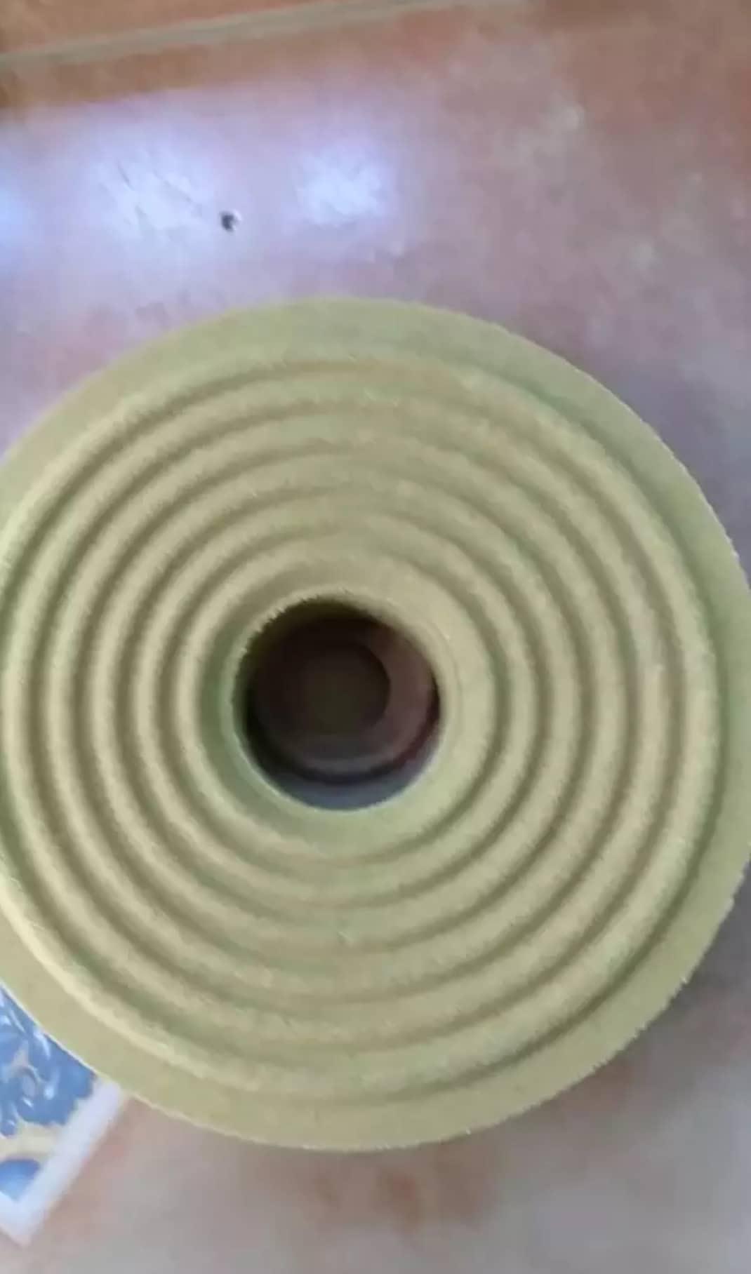 nhện loa 15cm