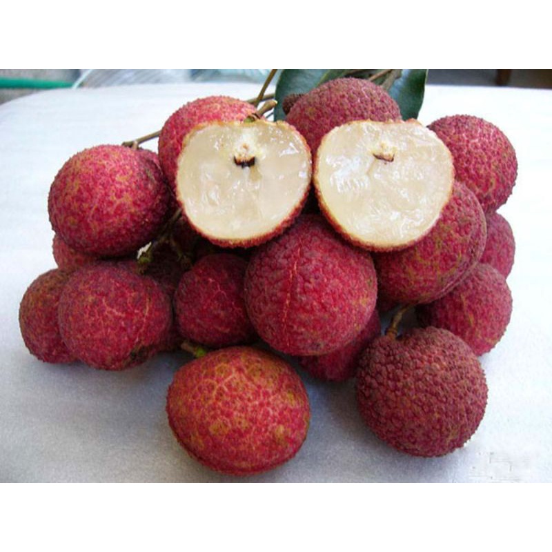 VẢI KHÔNG HẠT CÂY GHÉP