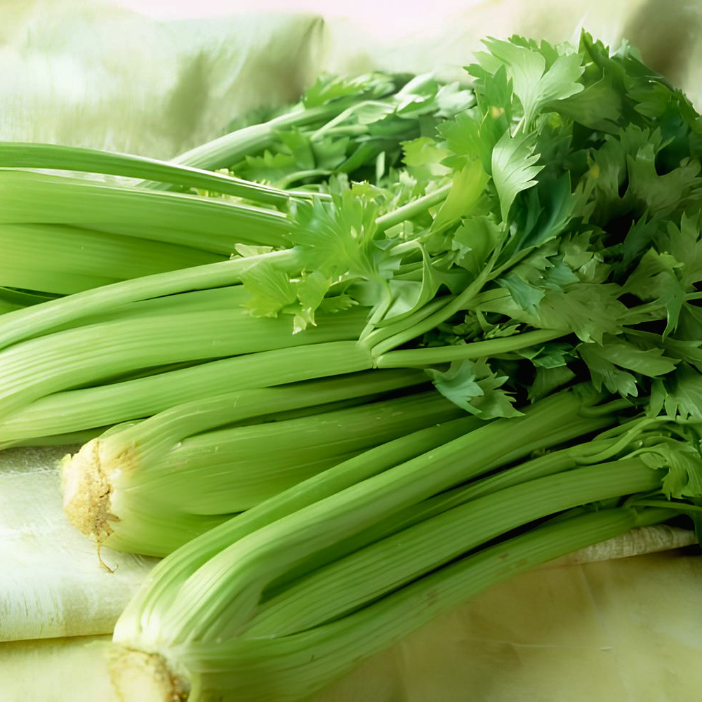 Bột Cần Tây Dalat Farm - Hộp 110Gr