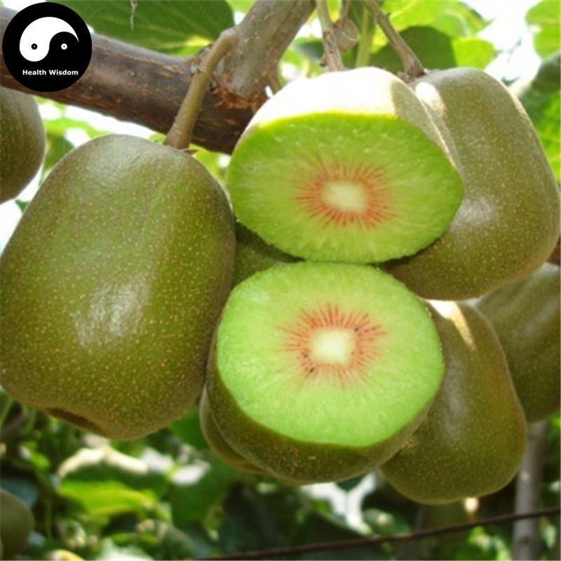 Sale Combo 3 gói Hạt giống kiwi