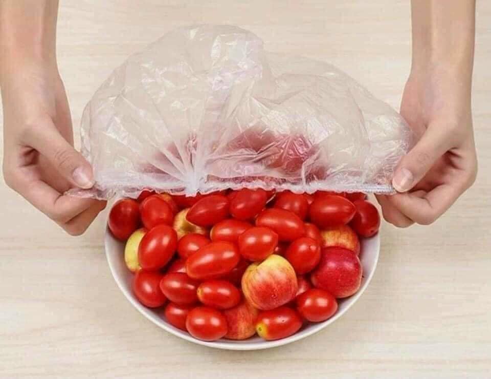 Túi 100 Màng bọc thực phẩm bo chun co giãn