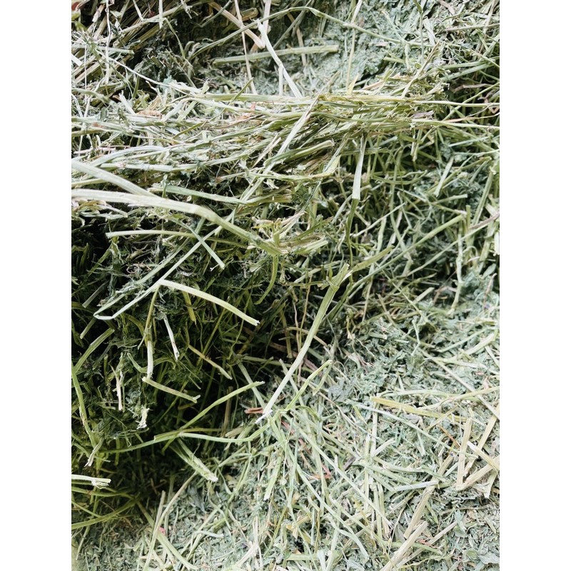 Cỏ khô Alfafa 1kg cho Thỏ , bọ , hamster