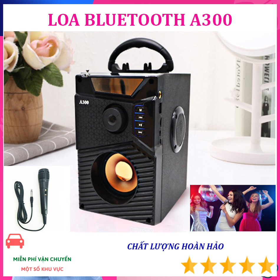 Loa Karaoke A300 xách tay siu BASS sony cũng không hay bằng