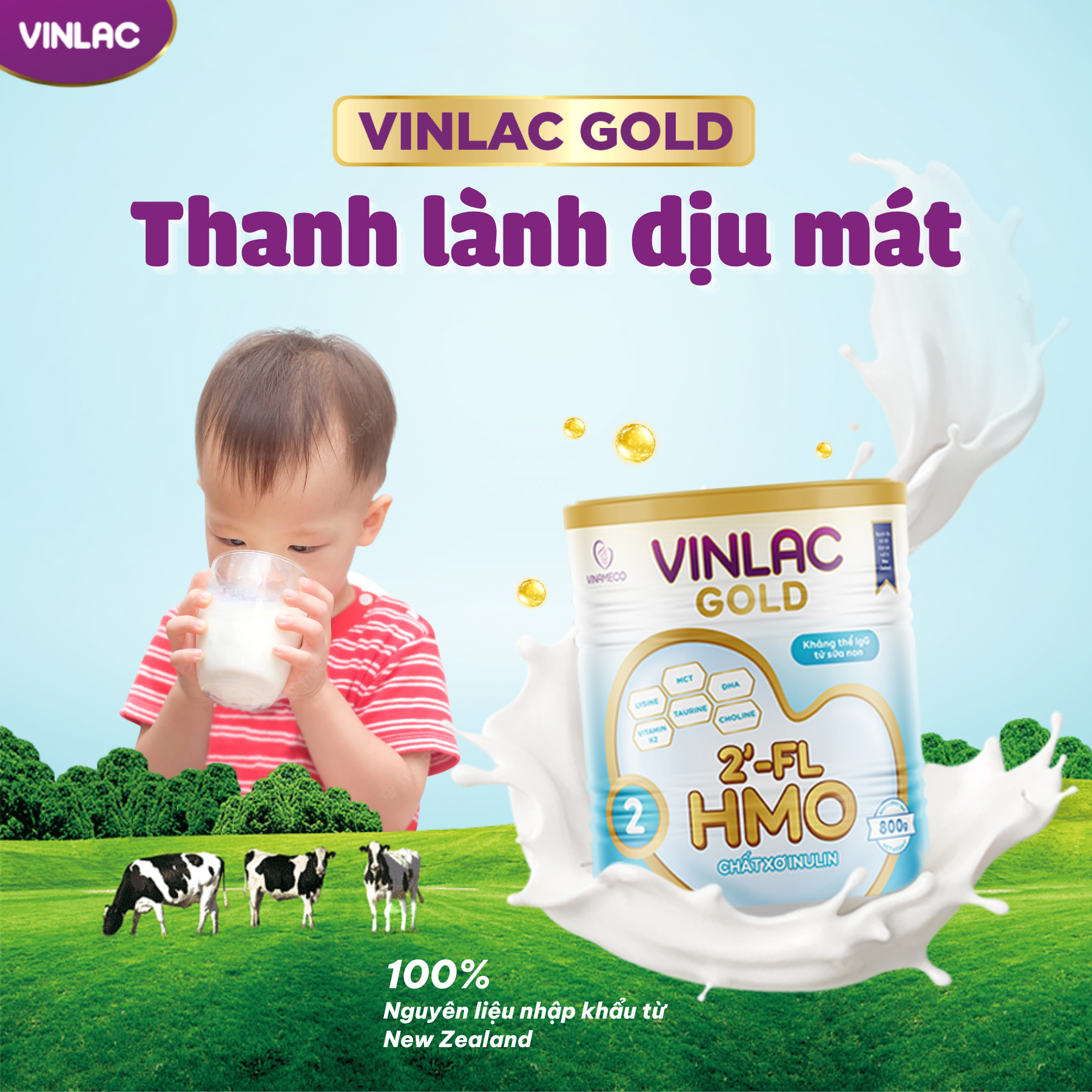 Sữa bột Vinlac Gold số 2 800g