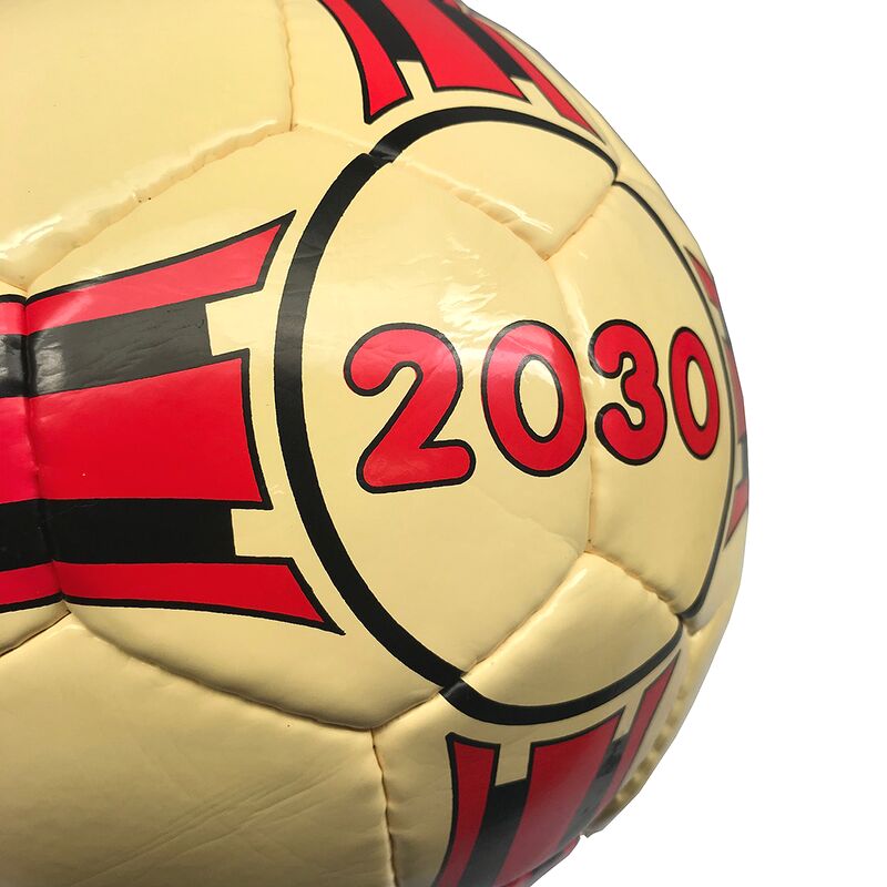[HCM]Bóng đá Futsal Geru 2030 Khâu Tay