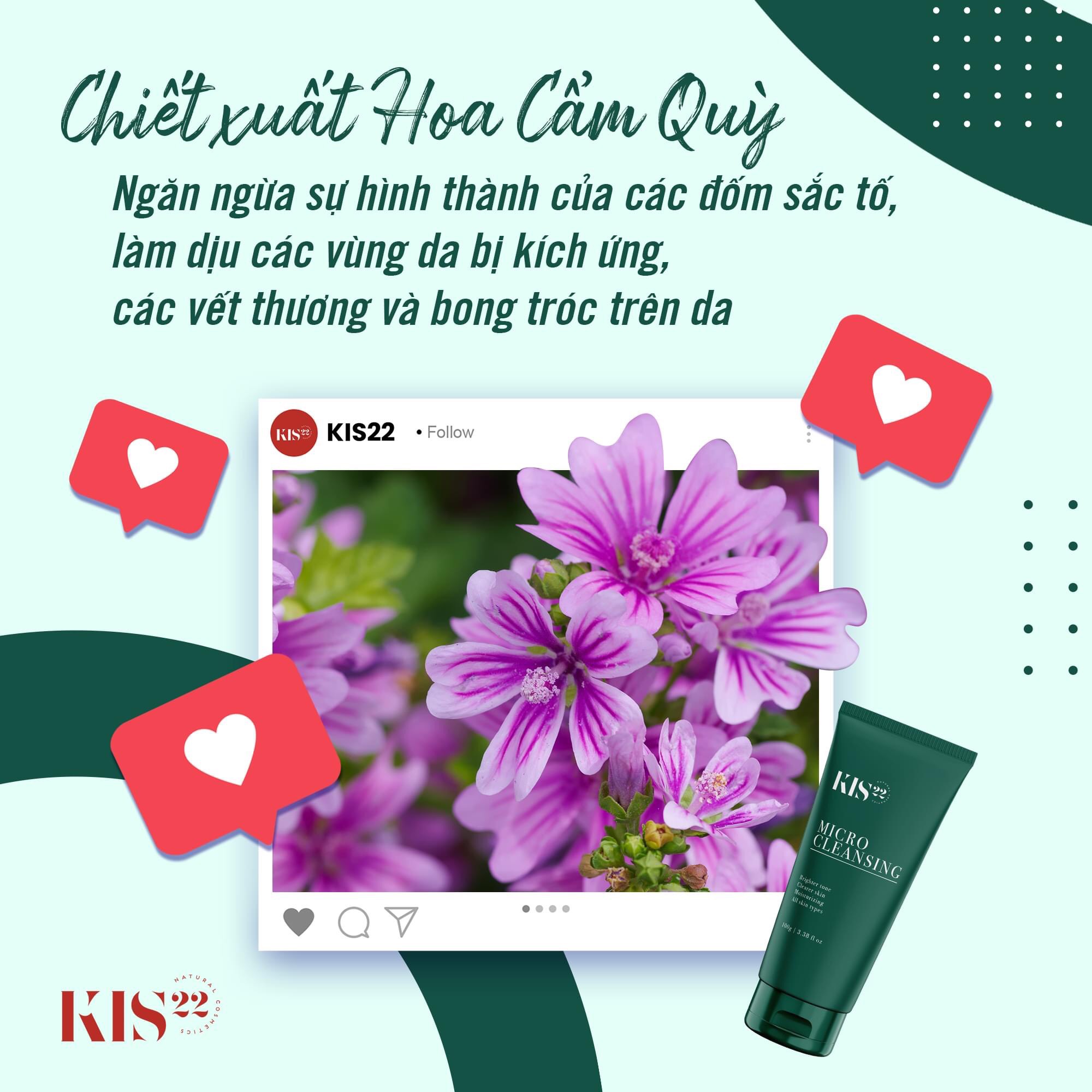 (BUÔN SỈ) SỮA RỬA MẶT THẢO MỘC MICRO CLEANSING KIS22