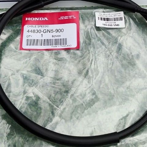 Dây đồng hồ/ Congtermet Dream Thái GN5-900