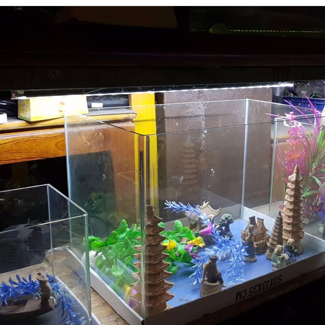 Aquarium Led Lamp 1.2m - 1.5m waterproof, 118.5cm long 21WCAIBAO T4-120LED (White)