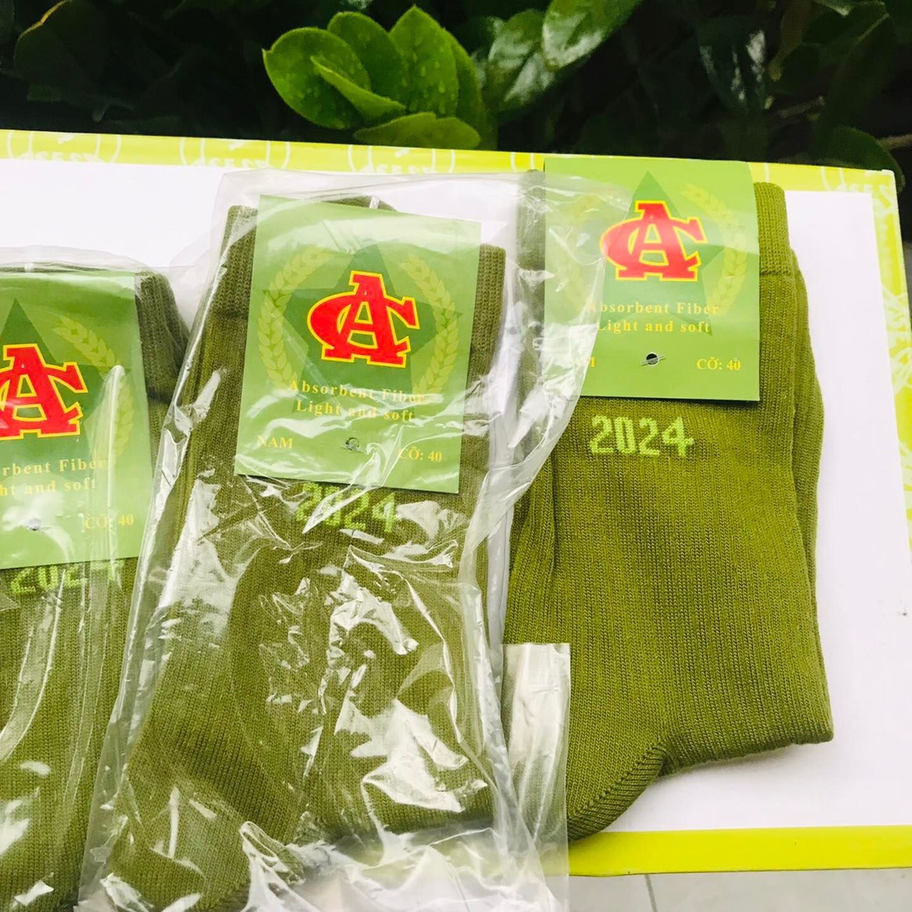 tất Vớ Xanh Công Sở An